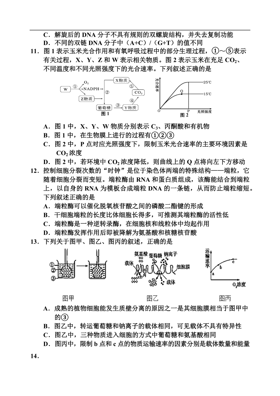 高三生物试卷.docx_第3页