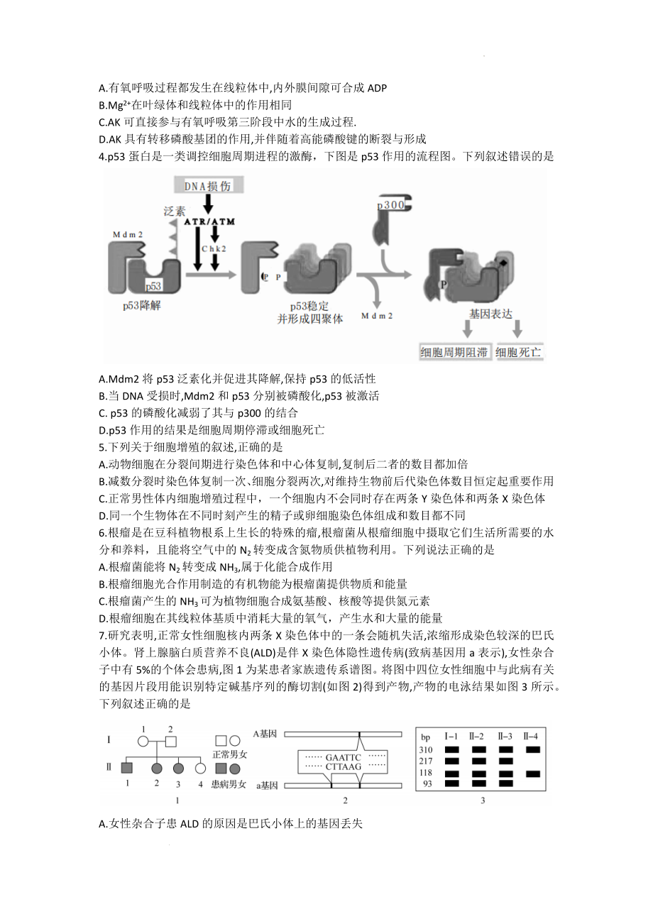 甘肃省张掖市某重点校2022-2023学年高三上学期期中检测生物试题.docx_第2页