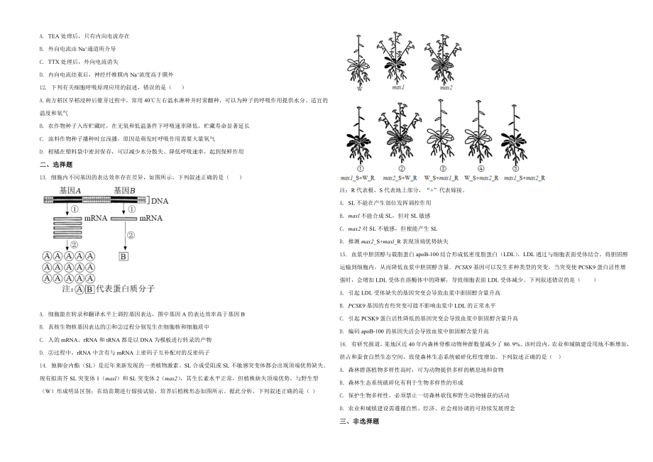 2021年湖南高考生物（新高考）（原卷版）.doc_第3页