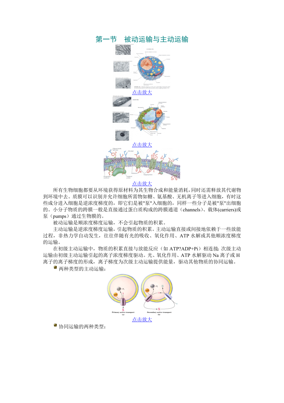 生物膜与物质运输.doc_第1页