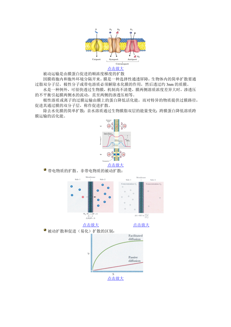 生物膜与物质运输.doc_第2页