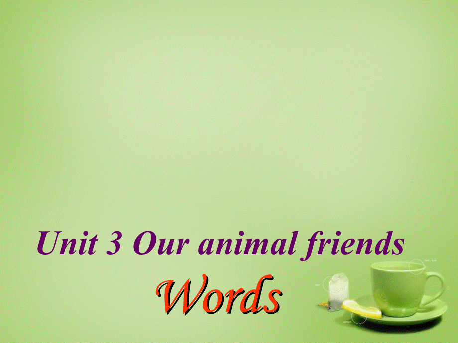 广东省深圳市文汇中学七年级英语下册 Unit 3 Our animal friends Period 1 words课件 .ppt_第1页