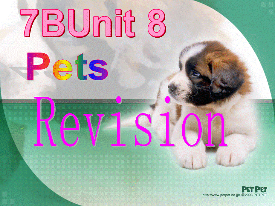 江苏省东海县横沟中学七年级英语下册 Unit 8 Pets revision课件 .ppt_第2页