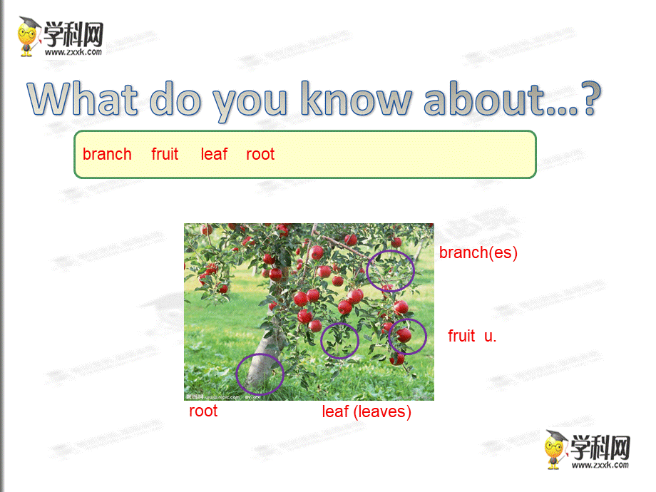 牛津深圳初中英语七下《Module2 Unit 4 Save the trees.》PPT课件period 2 Reading.ppt_第3页