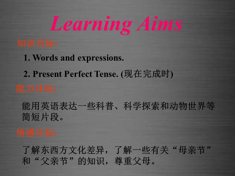 冀教初中英语八上《Lesson 11 Lily Learns about China !》PPT课件 (3).ppt_第2页