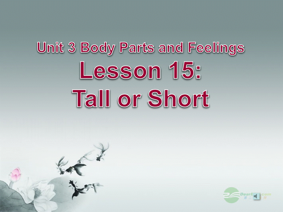 冀教初中英语七上《Lesson 15 Tall or Short》PPT课件 (2).ppt_第1页