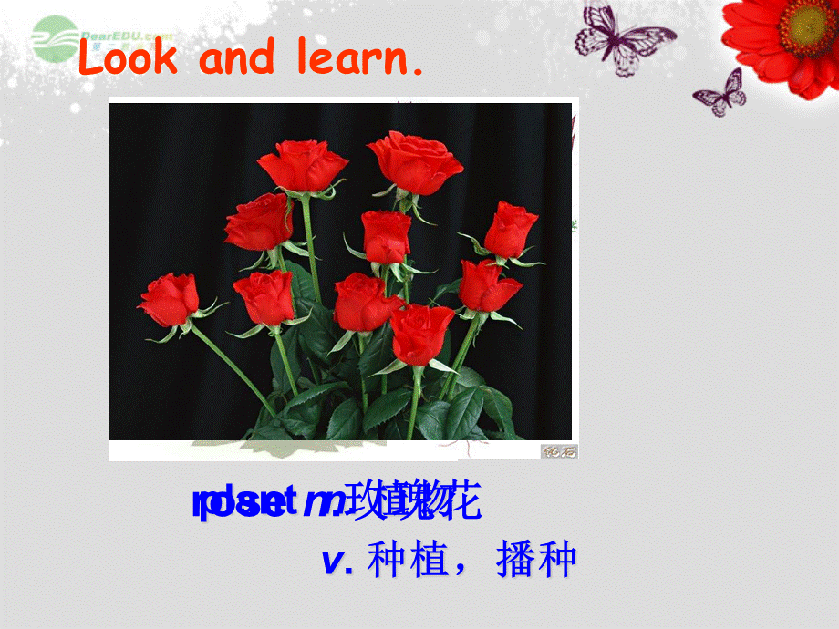 重庆市涪陵区中峰初级中学八年级英语上册 Unit 4 Our World Topic 1 Which do you like better, plants or animals Section B课件 （新版）仁爱版.ppt_第2页