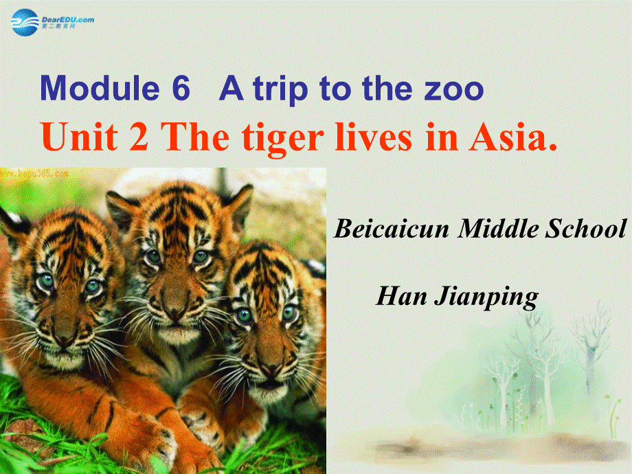 七年级英语上册 Module 6 A trip to the zoo Unit 2 The tiger lives in Asia课件 （新版）外研版.ppt_第2页