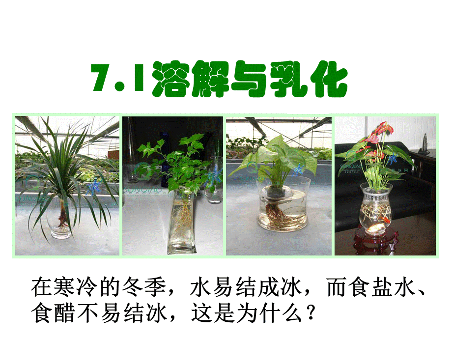 粤教初中化学九下《7.1 溶解与乳化》PPT课件 (1).ppt_第1页