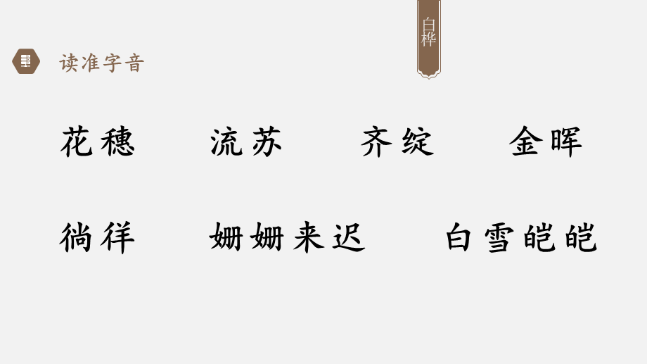 11白桦（新）.pptx_第3页