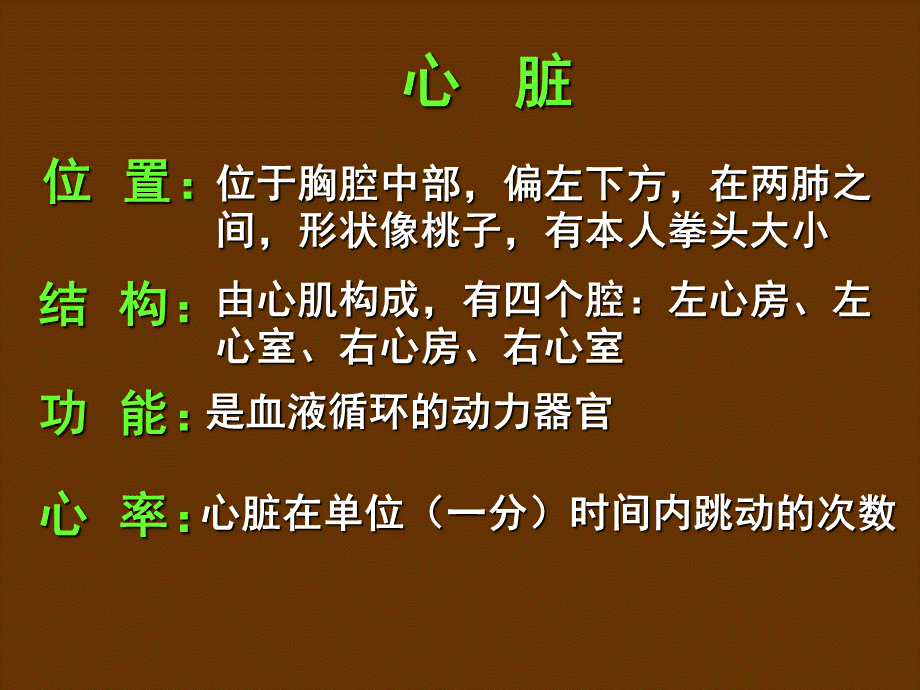 首师大小学科学四下《16.心脏的保健》PPT课件(2) .ppt_第3页