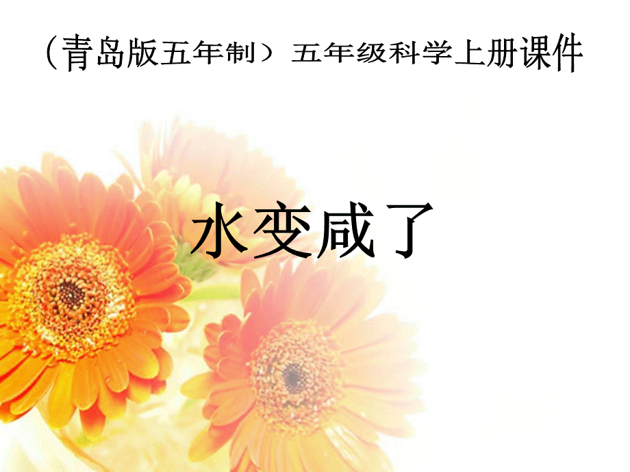 青岛小学科学五上《15.水变咸了》PPT课件 (4) 【虚拟宝库网www.xunibaoku.com】.ppt_第1页