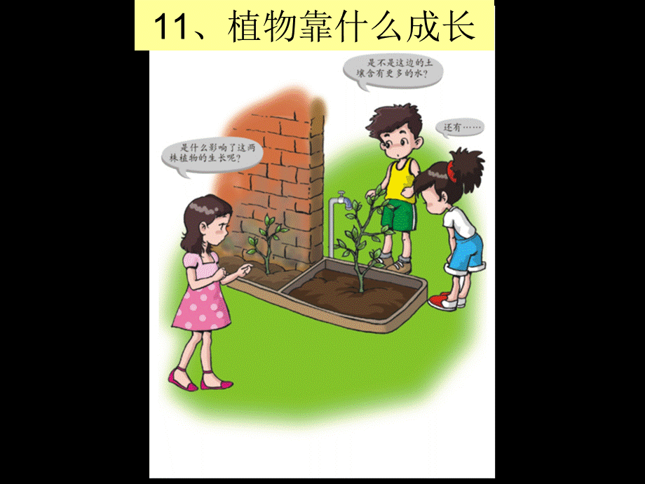 粤教版小学五年级科学下册《植物靠什么成长》课件【虚拟宝库网www.xunibaoku.com】.ppt_第2页