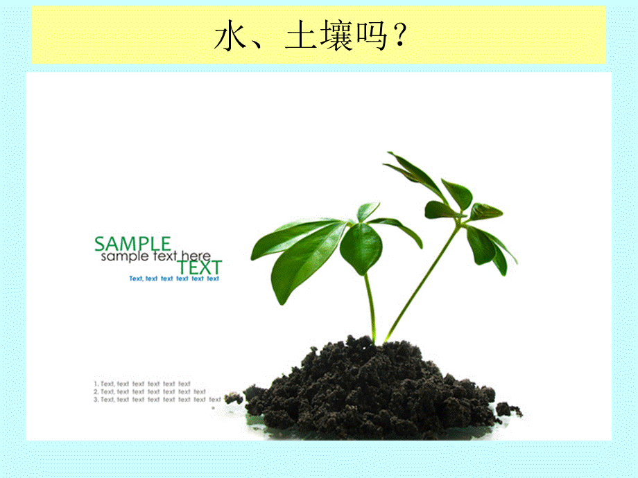 粤教版小学五年级科学下册《植物靠什么成长》课件【虚拟宝库网www.xunibaoku.com】.ppt_第3页