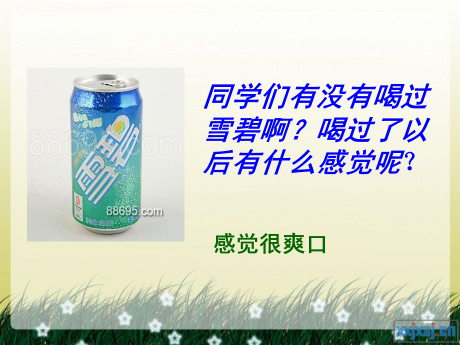 首师大小学科学四下《3.二氧化碳》PPT课件.ppt_第2页