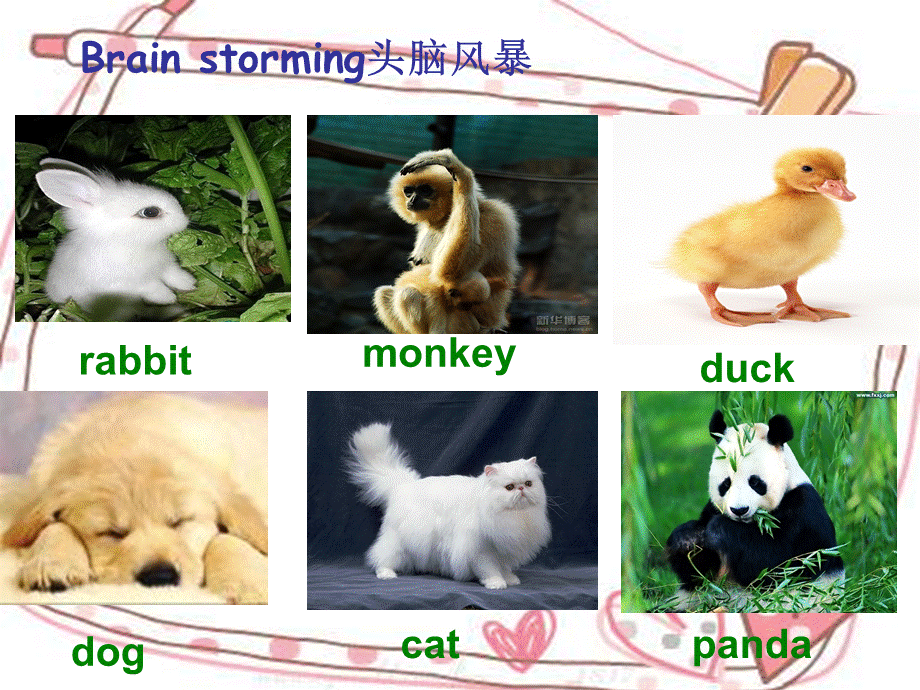 Unit 5 It's a parrot Lesson 26 课件3.ppt_第2页