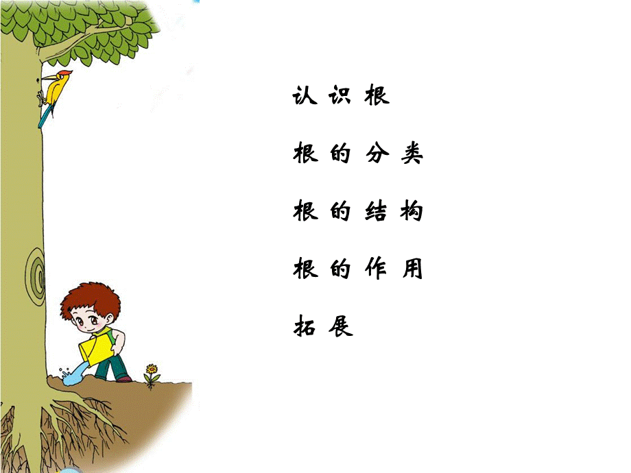 青岛小学科学四上《2 植物的根》PPT课件 (6) .ppt_第2页