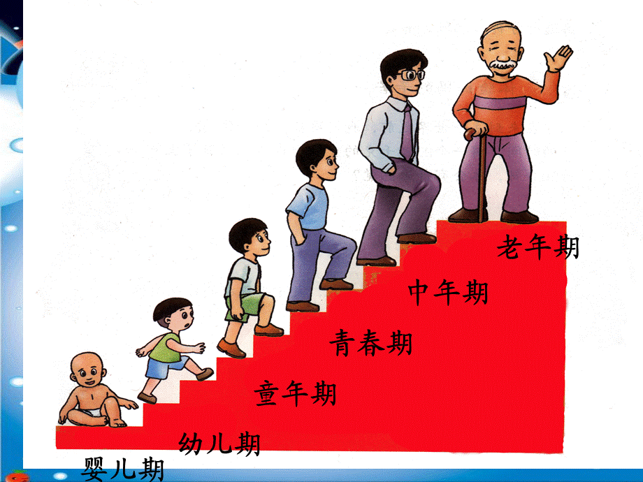 冀教小学科学四下册《16我在长大 》PPT课件 (2).ppt_第3页