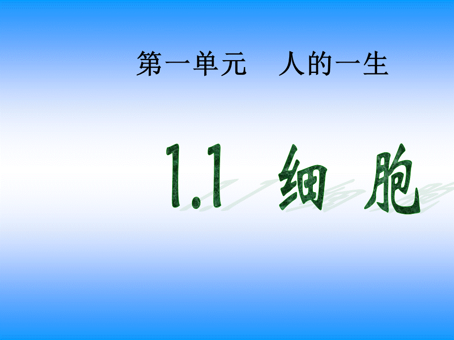 青岛小学科学六下《1. 细胞》PPT课件 (4).ppt_第1页