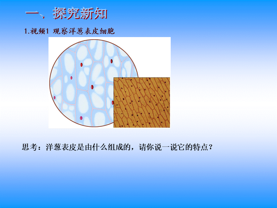 青岛小学科学六下《1. 细胞》PPT课件 (4).ppt_第3页