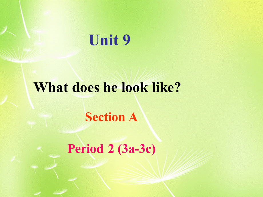 【湖北省】 Unit 9 What does he look like Section A 2课件.ppt_第1页