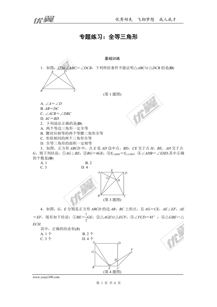 专题练习：全等三角形.doc_第1页