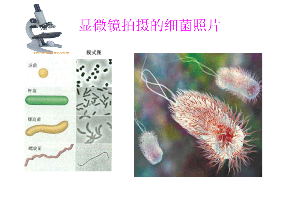 5.5显微镜和望远镜.ppt_第2页