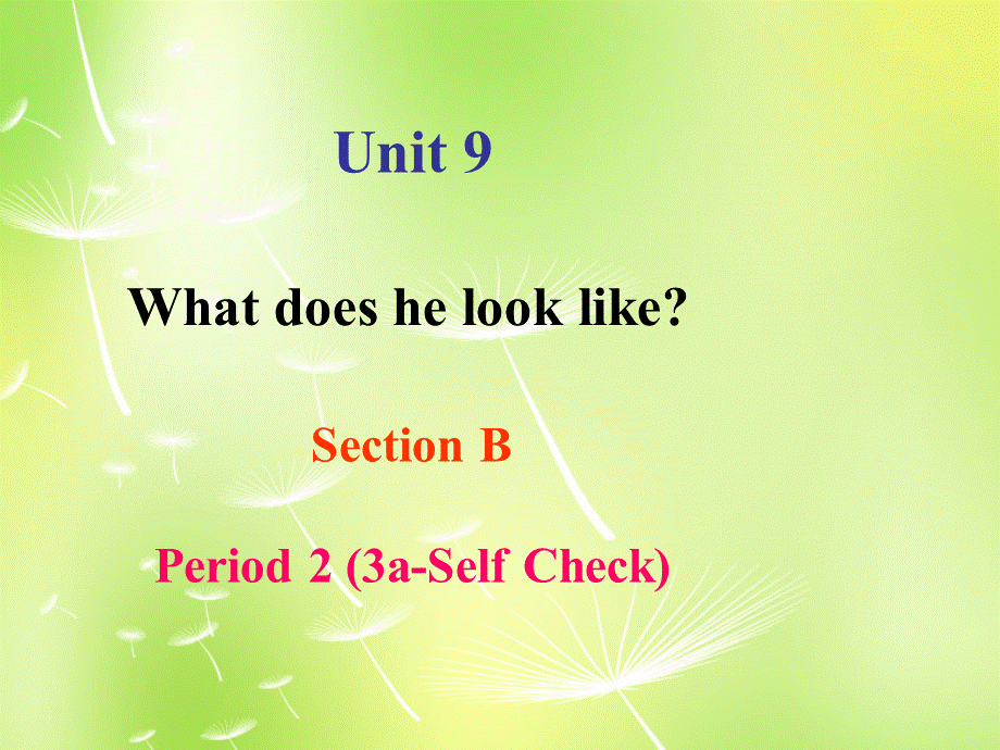 【湖北省】 Unit 9 What does he look like Section B 2课件.ppt_第1页