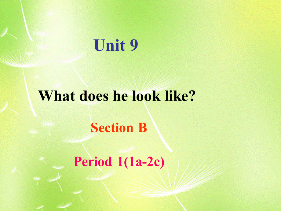 【湖北省】 Unit 9 What does he look like Section B 1课件.ppt_第1页