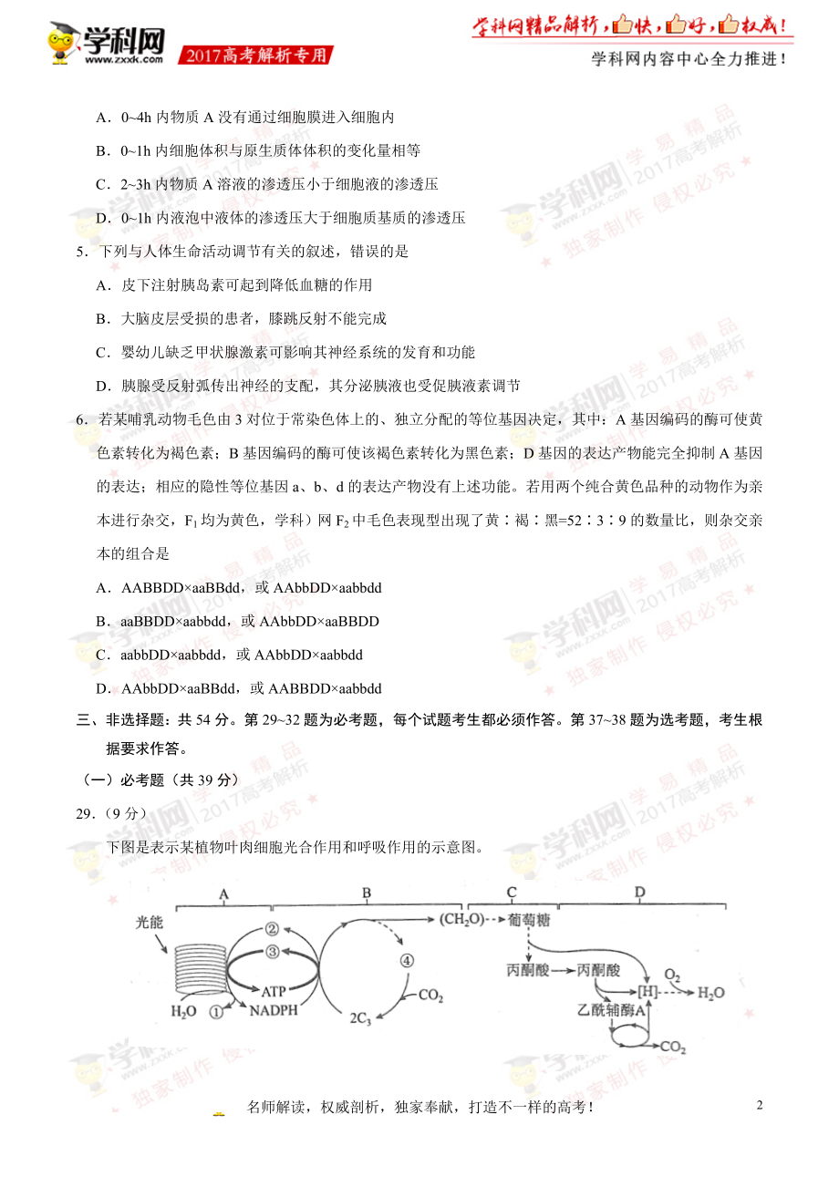 2017年高考新课标Ⅱ卷理综生物试题解析（正式版）（原卷版）.doc_第2页