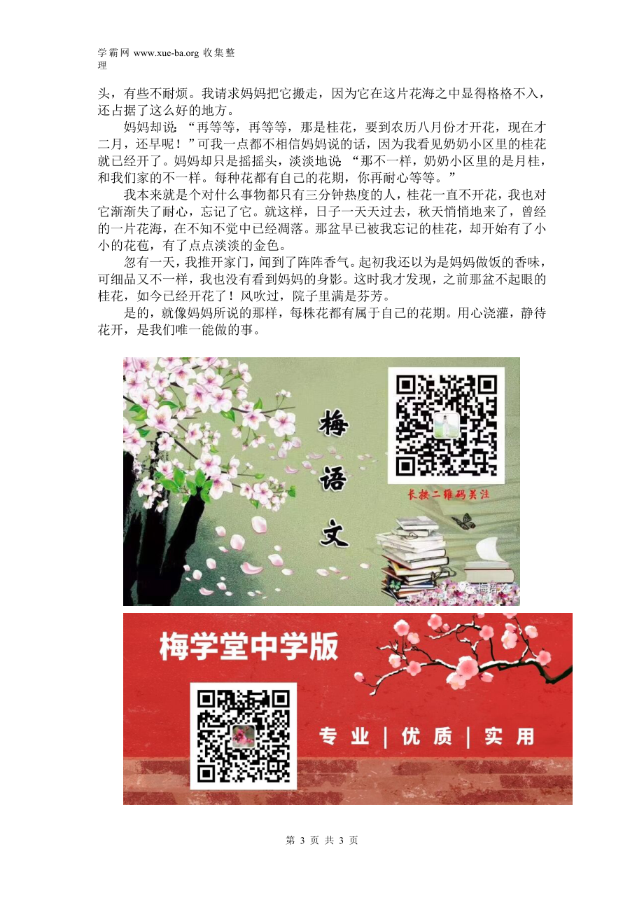 中考优秀作文：花开有期（范文3篇）.docx_第3页