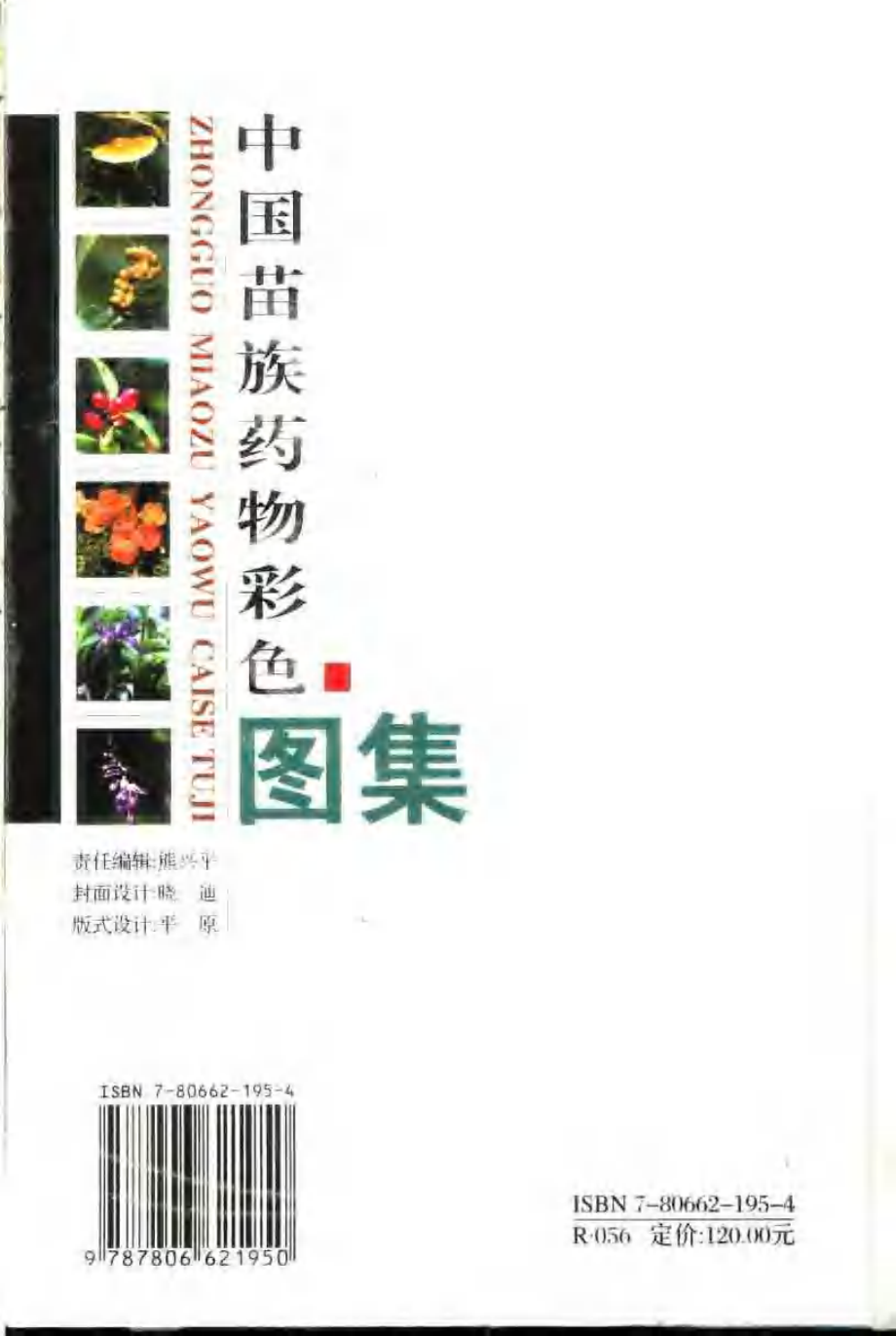 中国苗族药物彩色图集.pdf_第2页