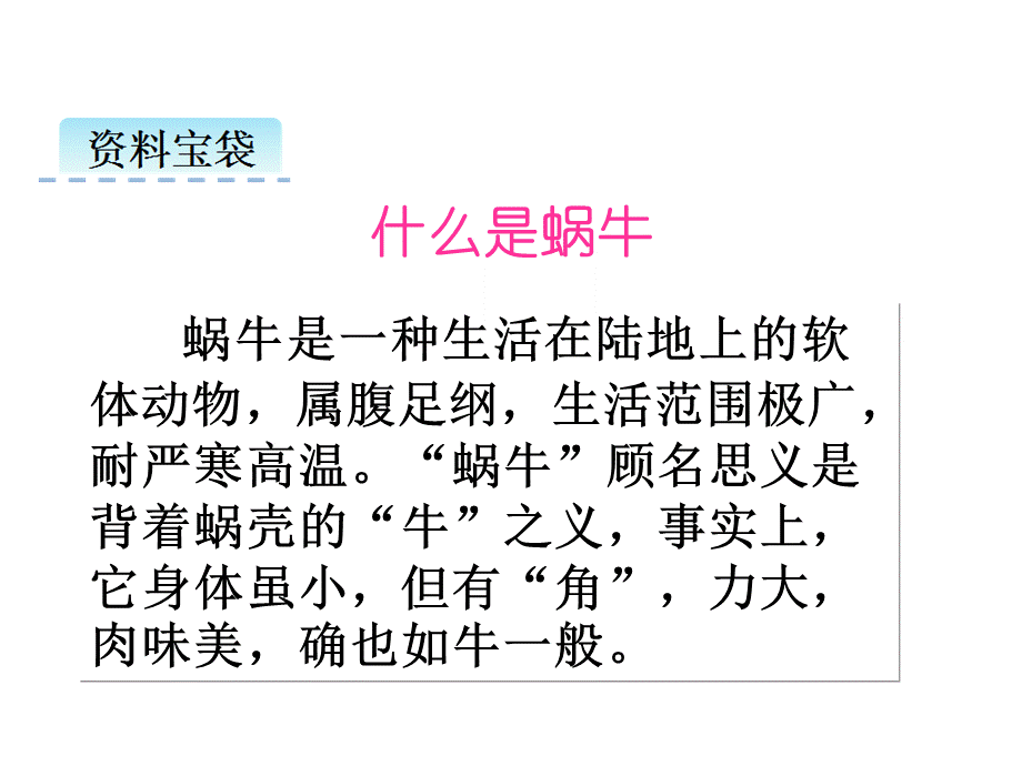 （课堂教学课件3）小蜗牛.ppt_第2页