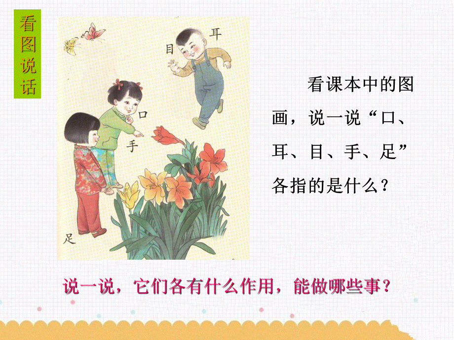 （课堂教学课件3）口耳目.ppt_第2页