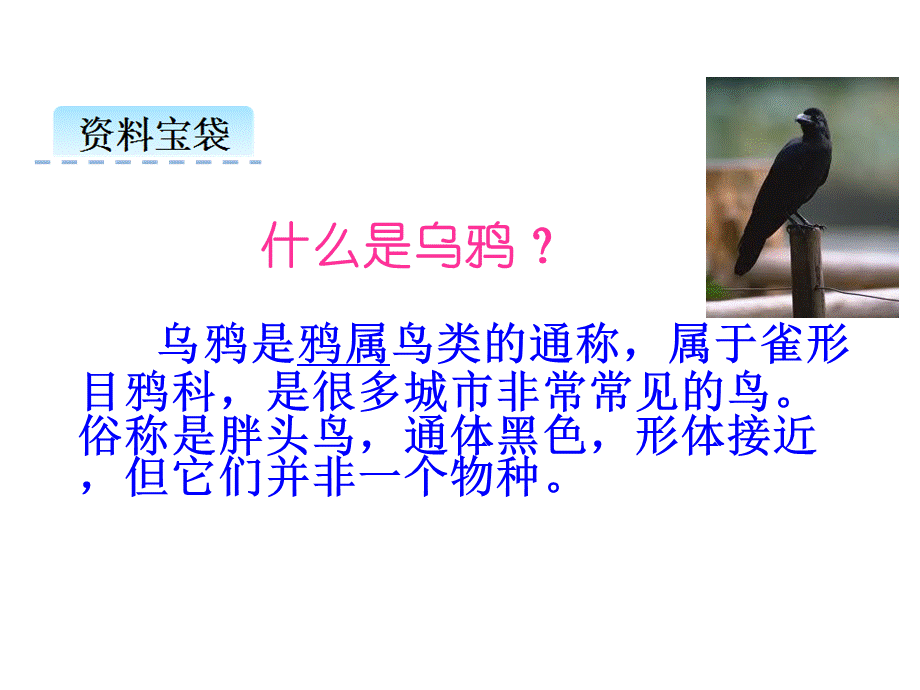 （课堂教学课件3）乌鸦喝水.ppt_第2页