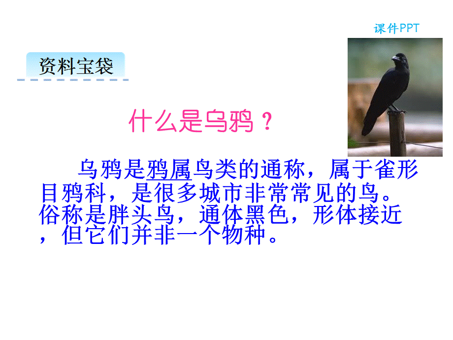 13乌鸦喝水.ppt_第2页