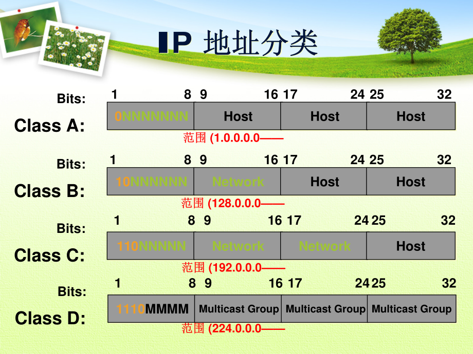 IP子网划分专题(带答案).pdf_第3页