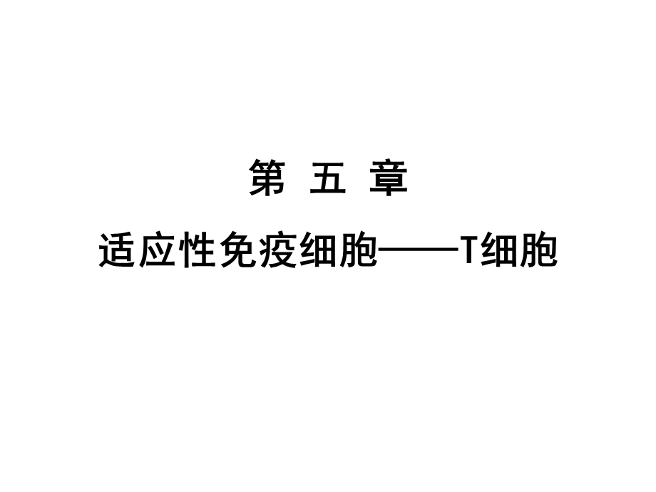 第五章 T细胞.ppt_第1页