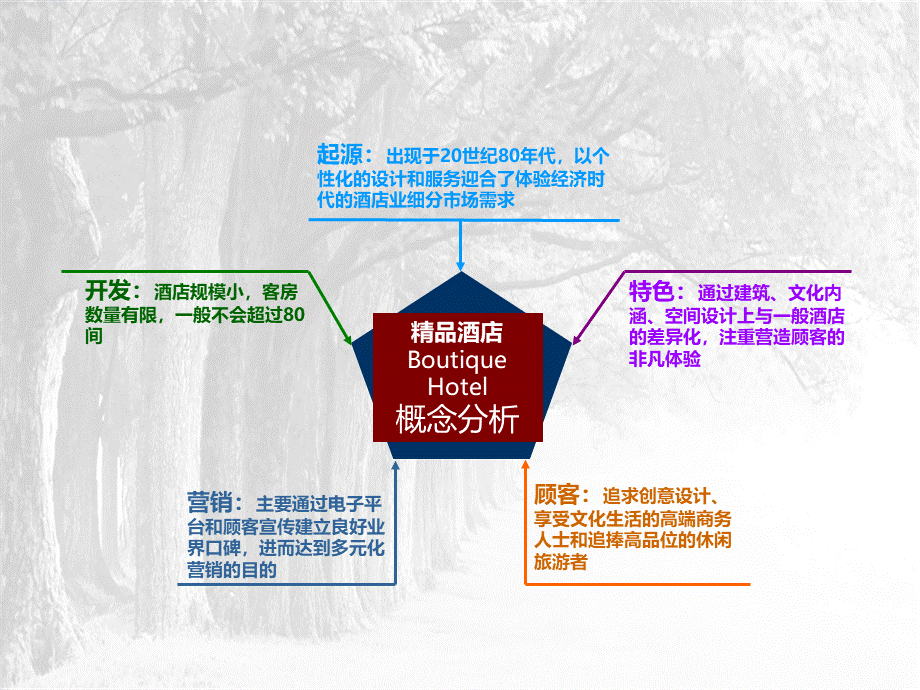 主题酒店策划书.ppt_第2页