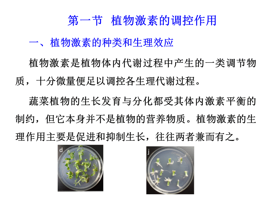 第七章(1).ppt_第3页