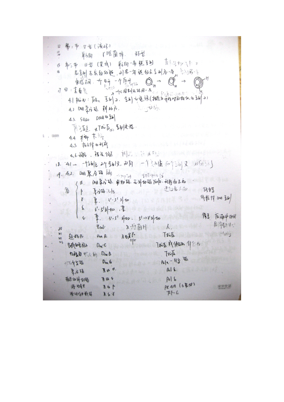 中国农大2010年生物化学辅导班笔记6-3.doc_第1页