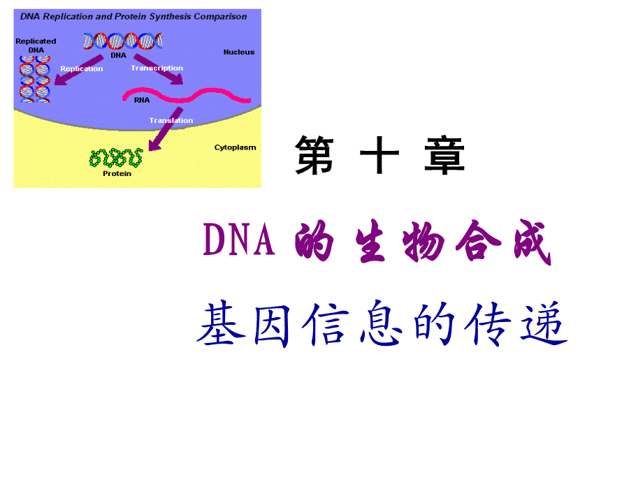 Chapter 10 复制.ppt_第1页