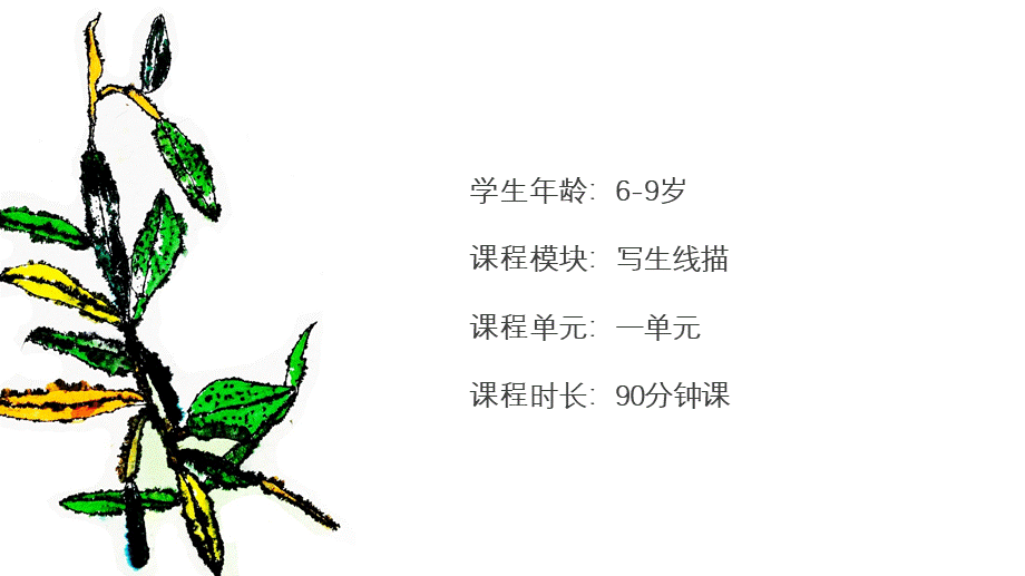 第十节：甲虫.pptx_第2页