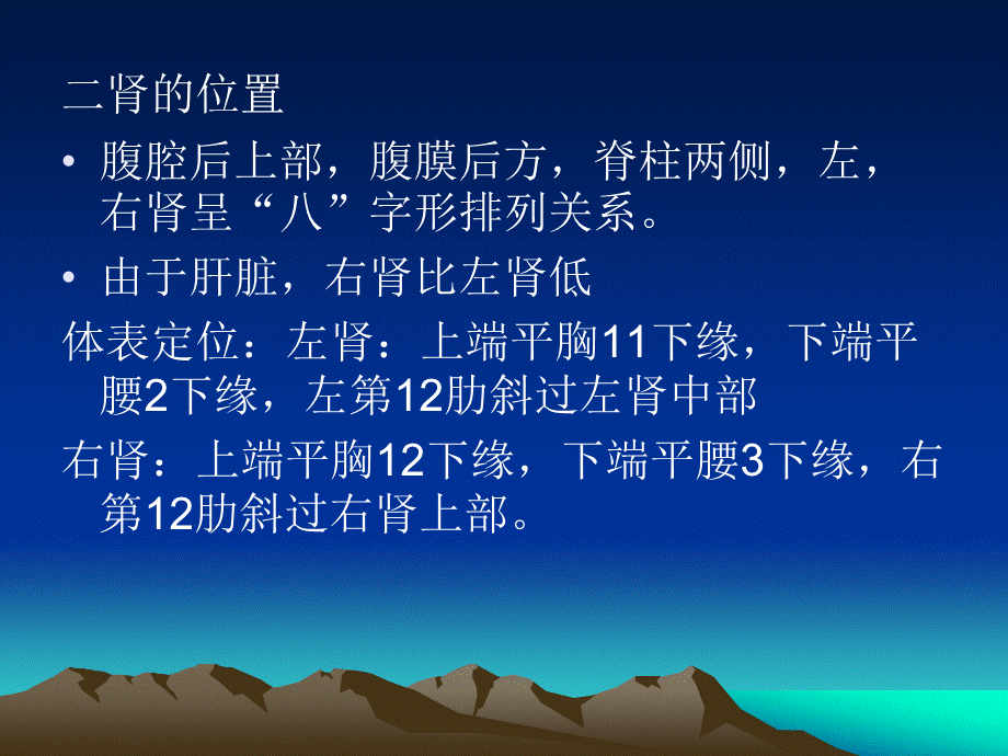 泌尿系统(1).ppt_第2页