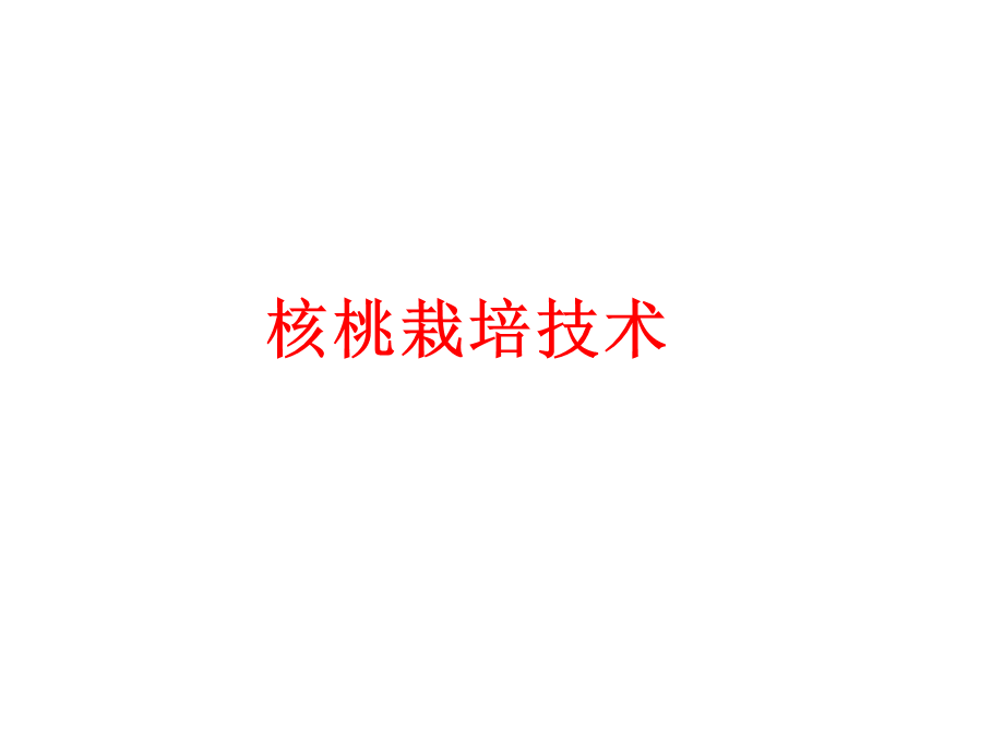 核桃课件.ppt_第1页