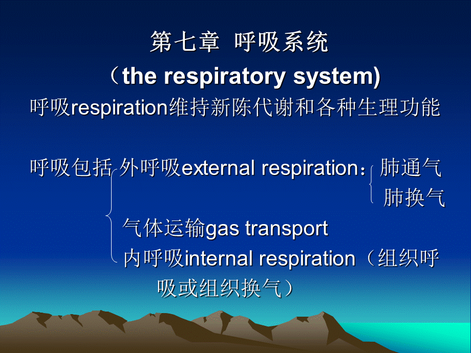 呼吸系统(1).ppt_第1页