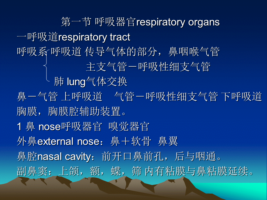 呼吸系统(1).ppt_第3页