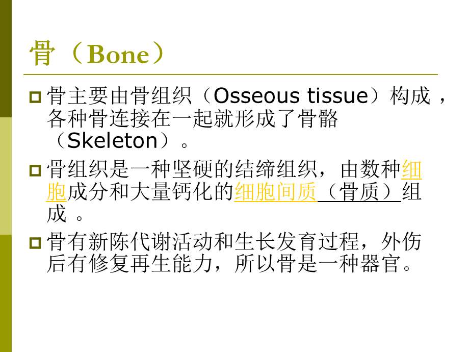 2. 骨骼解剖学概要 .ppt_第3页