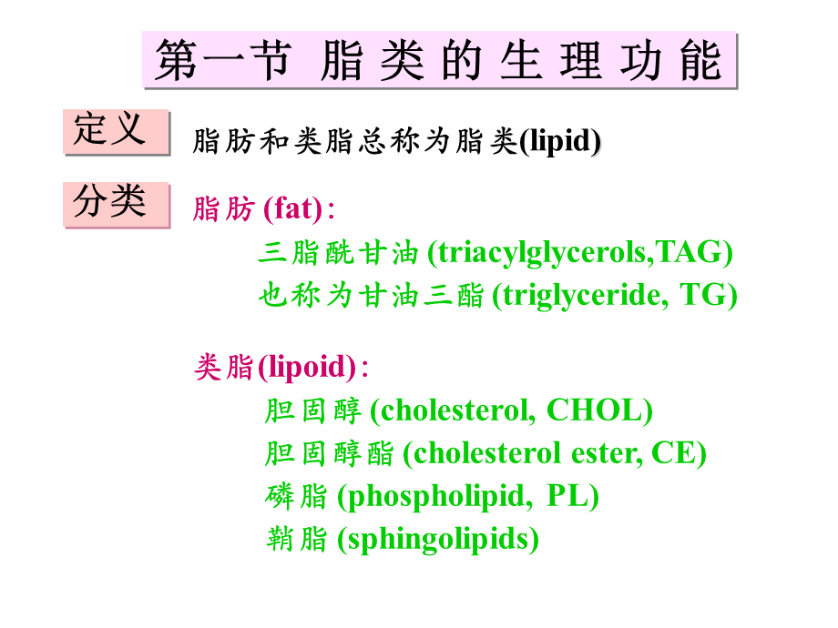 07第七章脂代谢.ppt_第3页