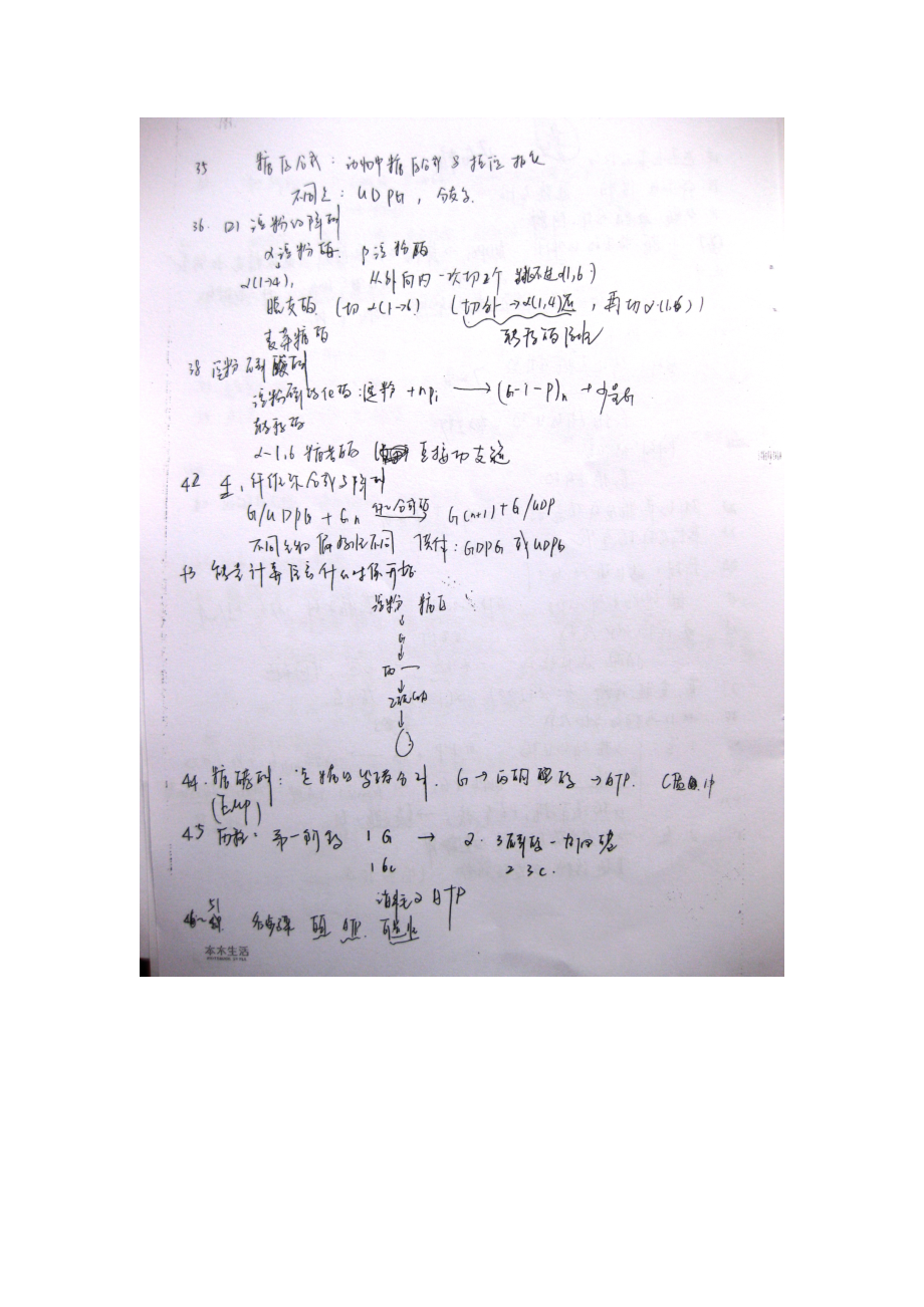 中国农大2010年生物化学辅导班笔记6-5.doc_第3页